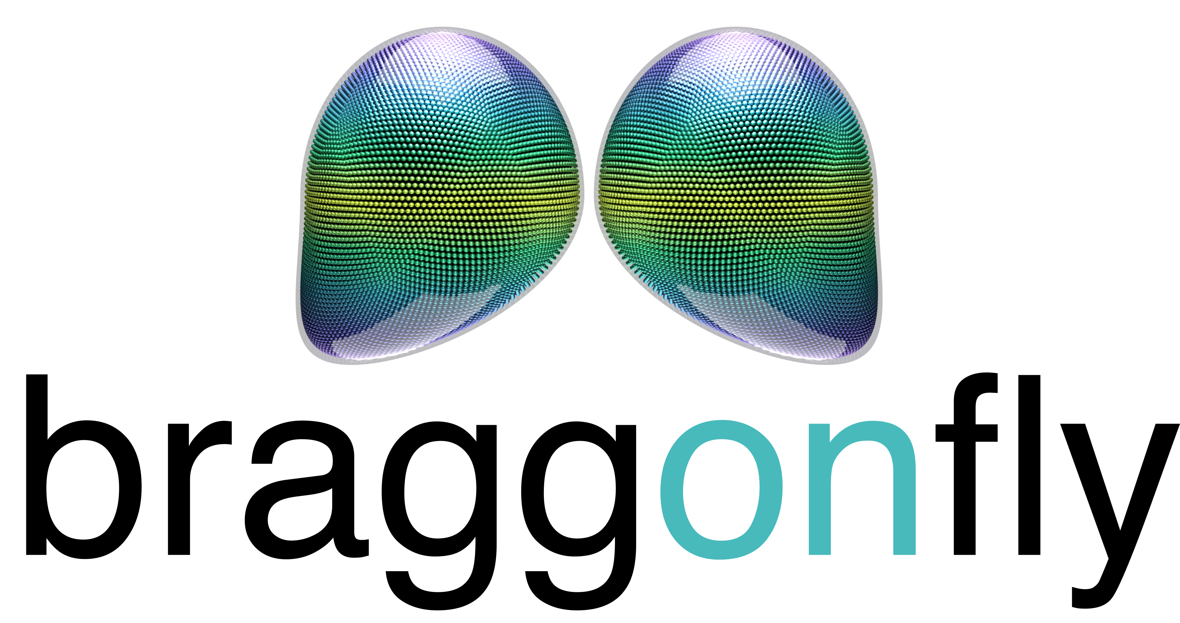 braggonfly logo